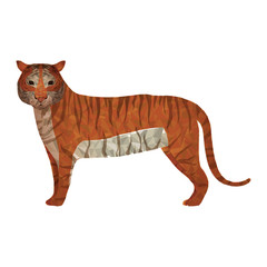 tiger wildlife animal with abstract design over white background. vector illustration