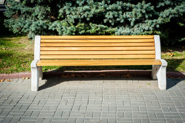 Bench in the park.