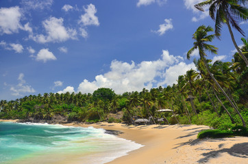 A beautiful deserted sandy beach with palm trees at the southern coastline of Sri Lanka (Tangalle region)