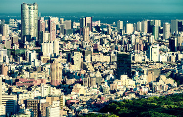 Fototapeta premium Tokyo beautiful aerial skyline