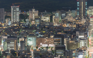 Fototapeta na wymiar Tokyo, Japan. Beautiful aerial view of city buildings at night