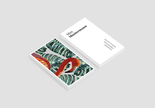 Flamingo &ndash; Visitenkarte
