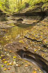 Autumn Leaves in Buttermilk Gorge