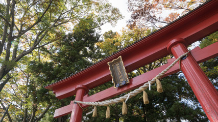 御室浅間神社の鳥居