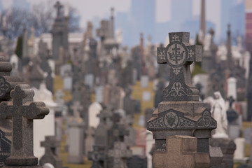 Obraz premium Tombstones in a cemetary