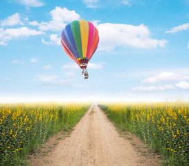 Hot air balloon over dirt road into yellow flower fields with fog