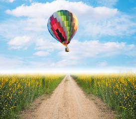 Hot air balloon over dirt road into yellow flower fields with fog