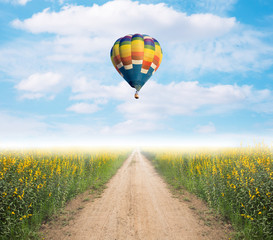 Hot air balloon over dirt road into yellow flower fields with fog