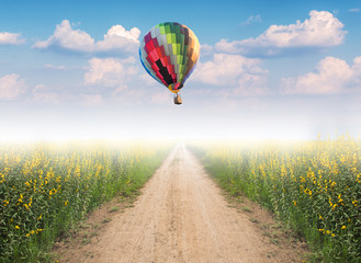 Hot air balloon over dirt road into yellow flower fields with fog