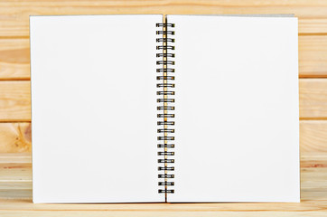 open book with blank pages.