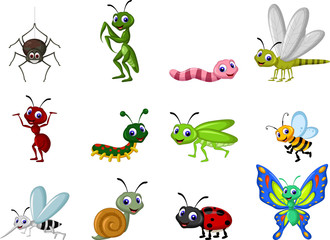 collection of insects cartoon