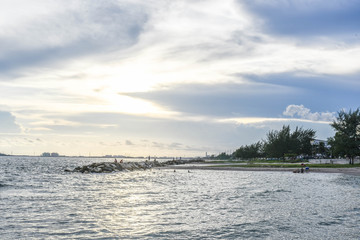 Beautiful sand dune with pine forest over sea in the summer