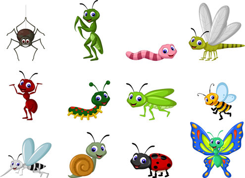 Insect Cartoon Images – Browse 184,242 Stock Photos, Vectors, and Video |  Adobe Stock