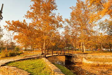 small bridge in the park