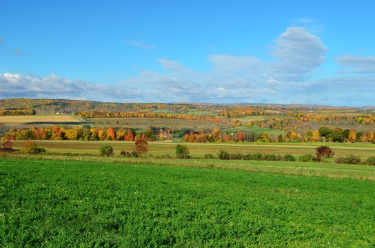 Fall Foliage on the hillside of upstate New York 