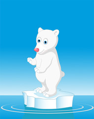 cute polar bear cartoon