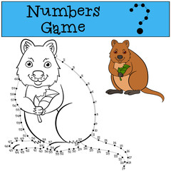 Educational game: Numbers game witn contour. Little cute quokka.