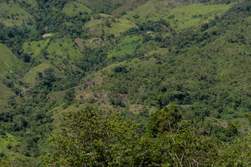 Mountains nature green