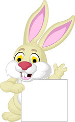 rabbit cartoon posing with blank sign