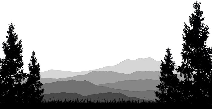 mountains and pine forest silhouette landscape background