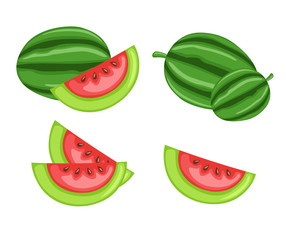 Juicy Watermelon Slices Vector