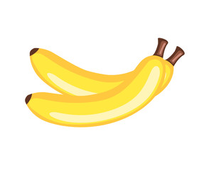 Fresh Bananas Vector