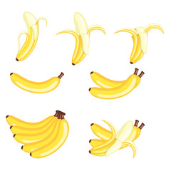 Bananas Vector