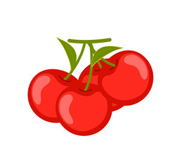 Ripe Cherries Vector