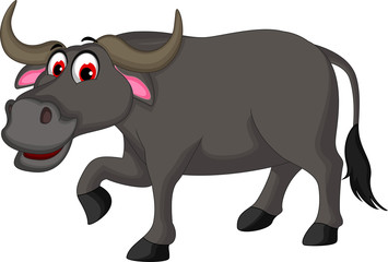 cute buffalo cartoon