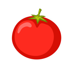 Red Tomato Vector