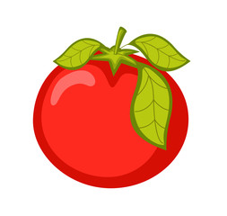 Ripe Tomato Vector