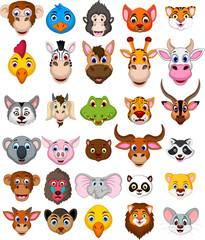 big animal head cartoon collection