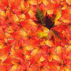Naklejka na ściany i meble seamless background pattern texture made of maple leaves