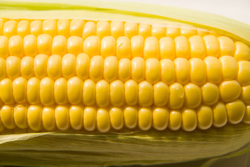 The seeds  fruit of the corn closeup.