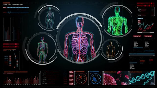 Female body scanning blood vessel, lymphatic,  circulatory system in digital display dashboard. Blue X-ray view. 