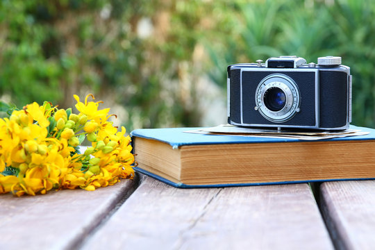 old book, vintage photo camera next to field flowers