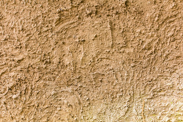 rough cement wall texture