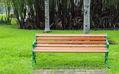 bench in the park on daytime