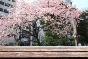 Empty wooden on blurred pink white sakura cherry blossom in japan