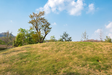 Obraz premium Pasture dry slope forest and blue sky