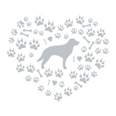 Nice picture of retriever silhouette on a background of dog trac