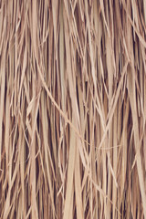 texture of Thatched from Imperata cylindrica Thailand