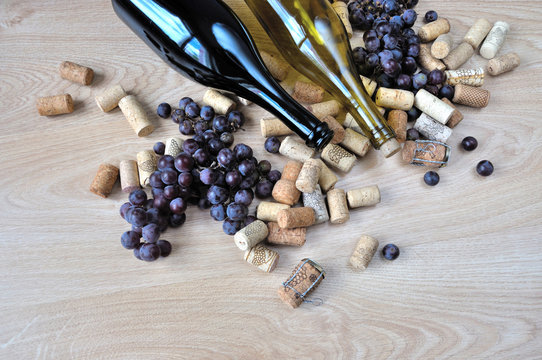 Bunches of grapes, bottles and corks on wooden background.