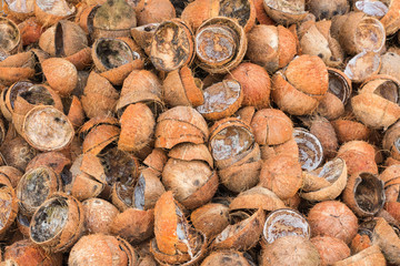 Pile of discarded coconut shells