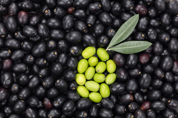 Green Olive shape on Black olive background. Fresh Harvested Oli