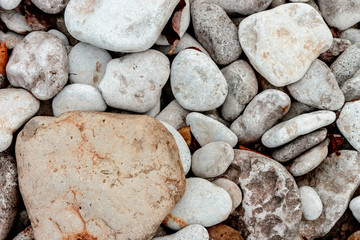 Coast sea pebbles