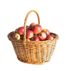 apple basket