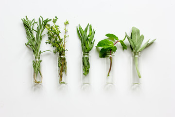 mint, sage, rosemary, thyme in glass bottles white background