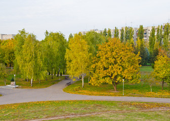 Fototapeta na wymiar Multicolored trees in a city park on autumn