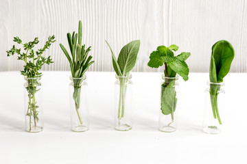 mint, sage, rosemary, thyme in glass bottles white background